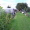 Arthur Street Allotments