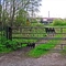 Kingmoor Sidings Nature Reserve (CA3 9PW)