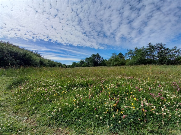 Petteril Valley Park (CA1 3EJ)