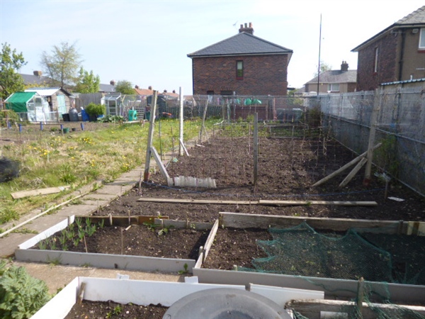 Henderson Road Allotments