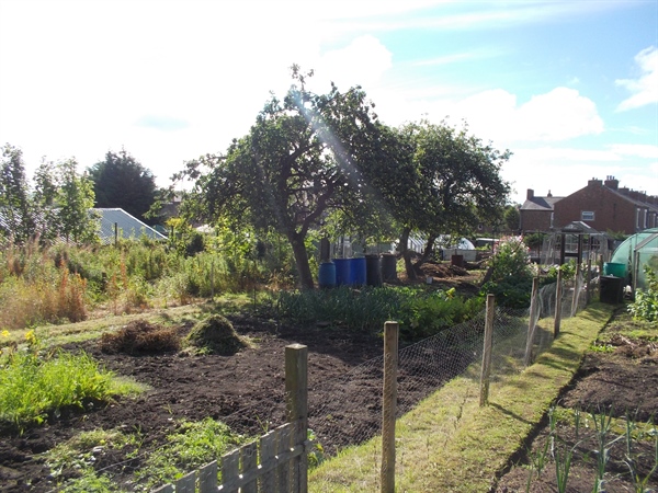 Nicholson Street Allotments