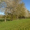 The Swifts - Creation of an urban site for people and nature