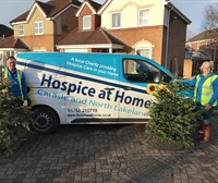 Hospice at Home Christmas Tree Collection
