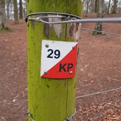 Try our refreshed orienteering course.