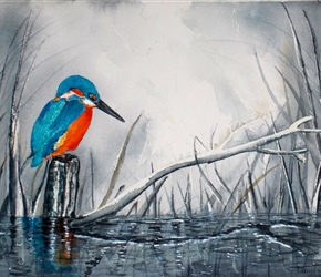 Kingfisher