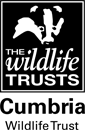 Cumbria Wild Trust logo