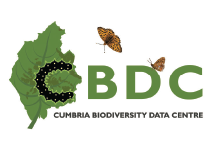 CBDC logo