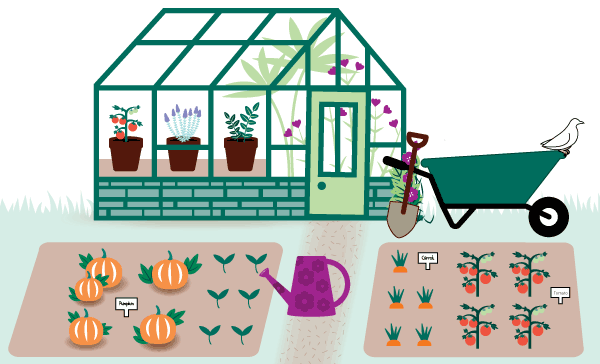 Greenhouse image